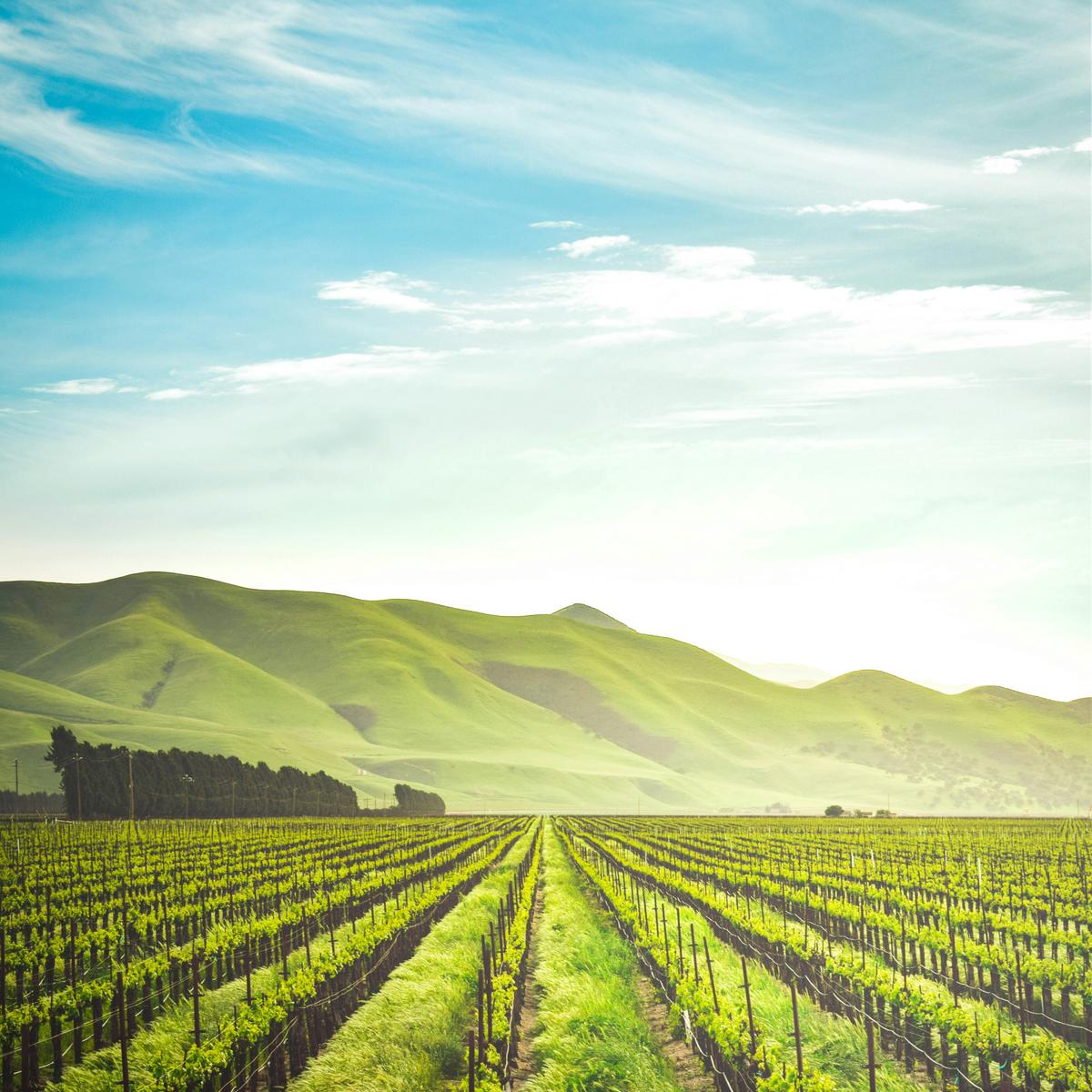 Food & Agriculture